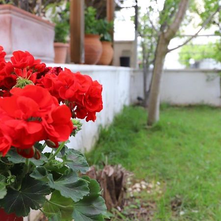 Вілла Belle Maison Кавала Екстер'єр фото